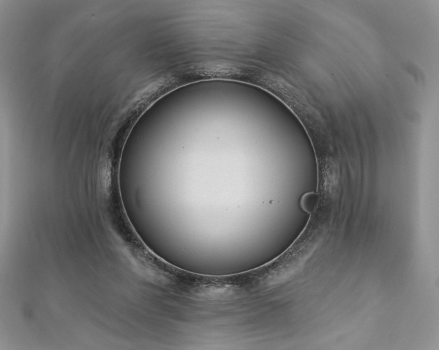 X0000113180206200909041350
