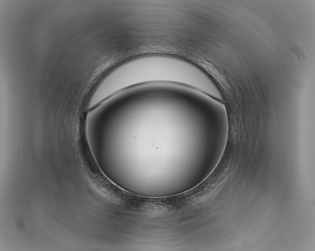 X0000113180207200909041350