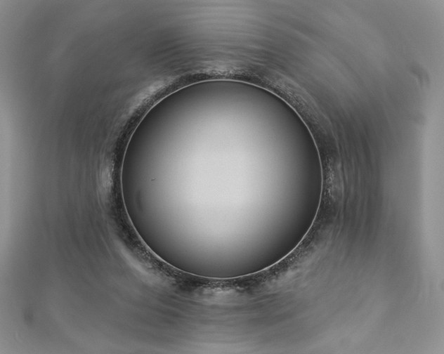 X0000113180208200909041350
