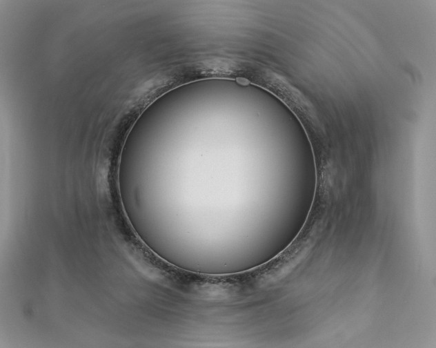 X0000113180209200909041350