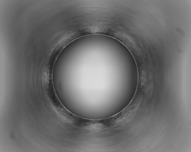 X0000113180210200909041350