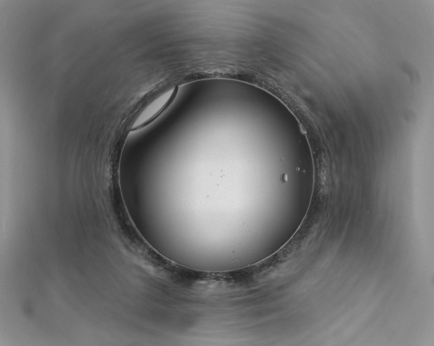 X0000113180211200909041350