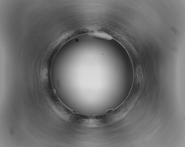 X0000113180212200909041350