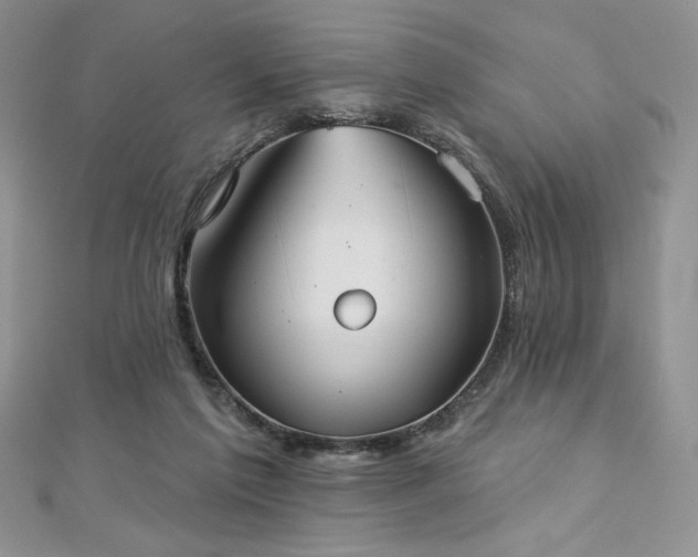 X0000113180213200909041350