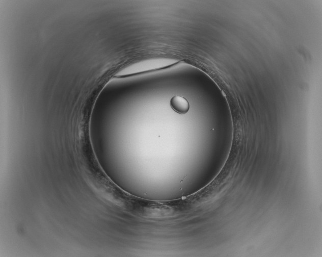 X0000113180215200909041350