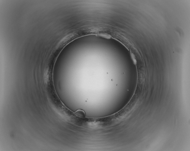 X0000113180216200909041350