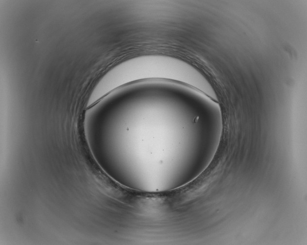 X0000113180217200909041350