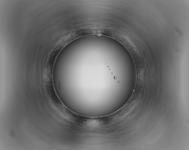 X0000113180218200909041350