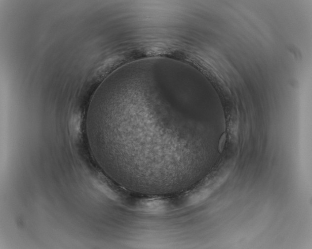 X0000113180219200909041350