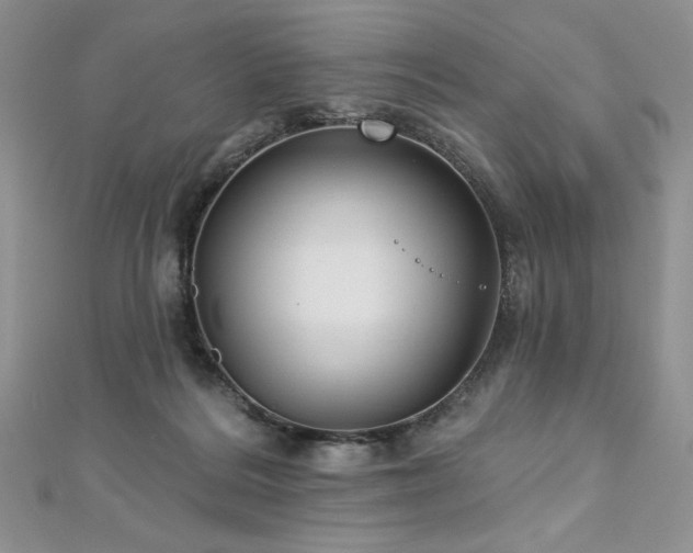 X0000113180220200909041350
