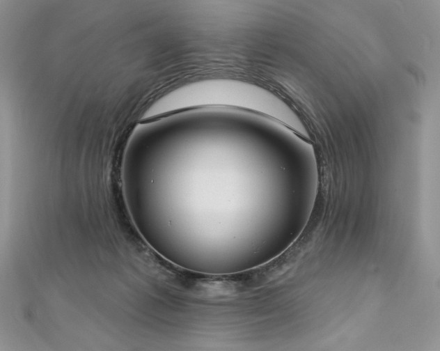 X0000113180221200909041350