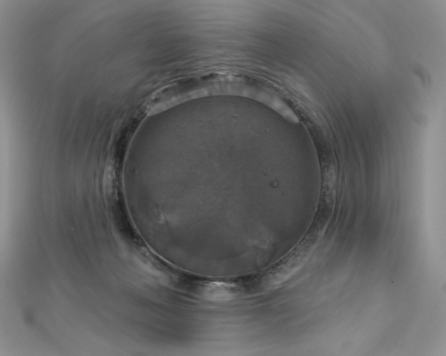 X0000113180222200909041350