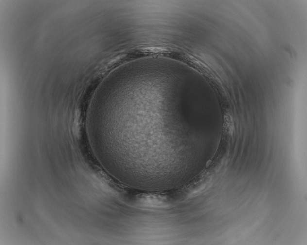 X0000113180223200909041350