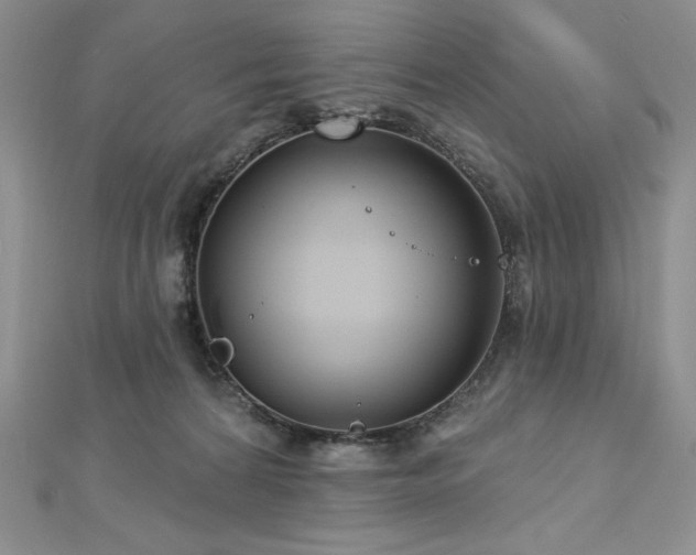 X0000113180224200909041350