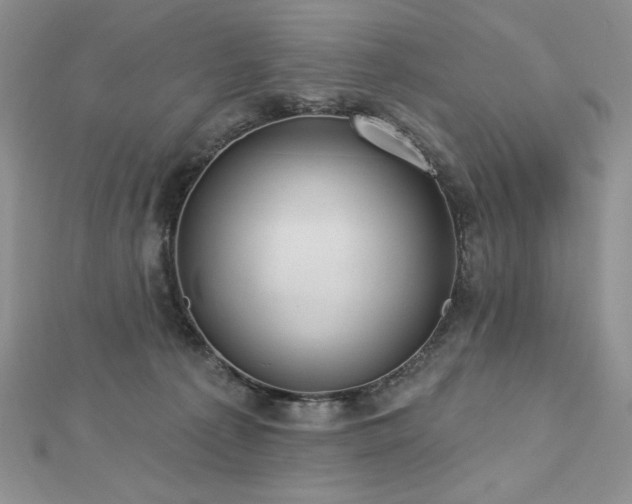 X0000113180225200909041350
