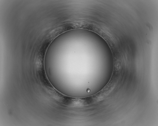 X0000113180226200909041350