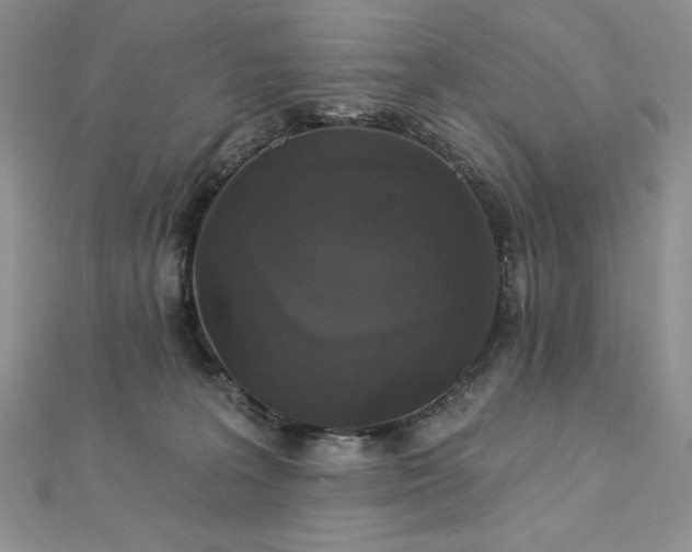 X0000113180227200909041350