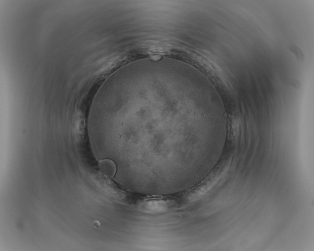 X0000113180228200909041350