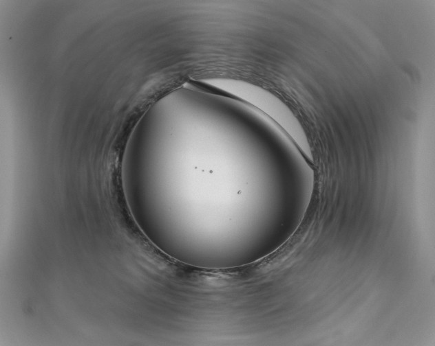 X0000113180229200909041350