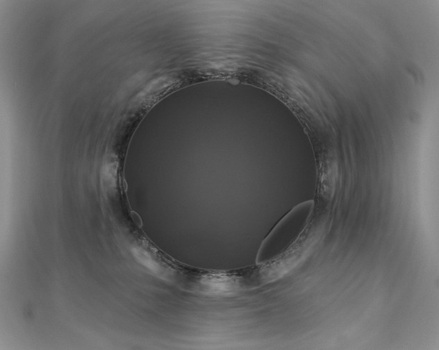 X0000113180231200909041350
