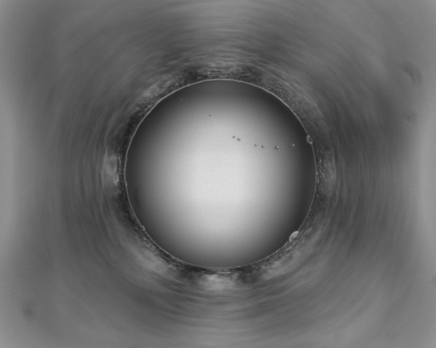 X0000113180232200909041350