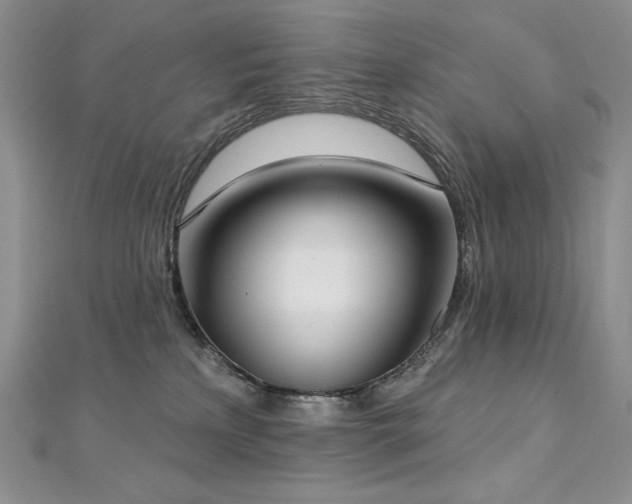X0000113180233200909041350