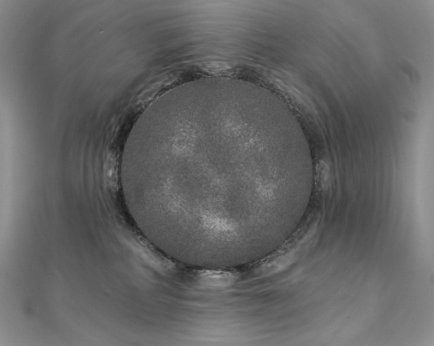 X0000113180234200909041350