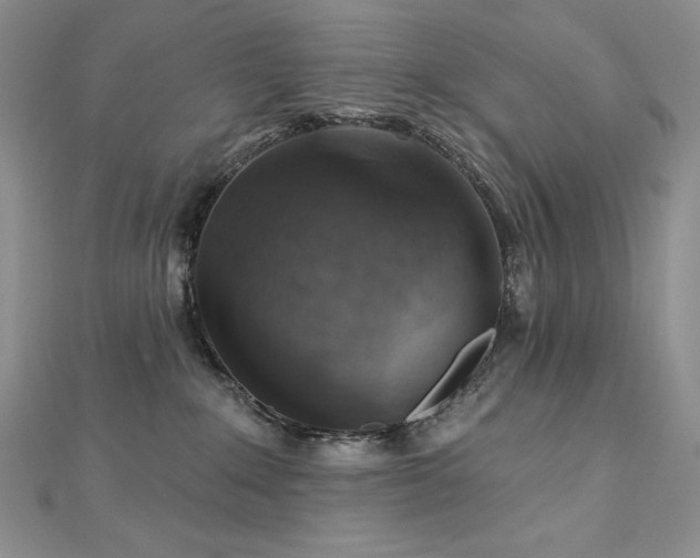 X0000113180235200909041350