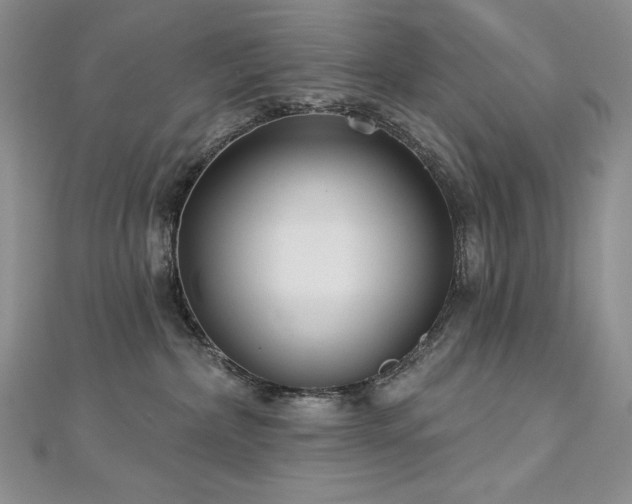 X0000113180236200909041350
