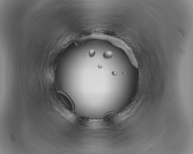 X0000113180240200909041349