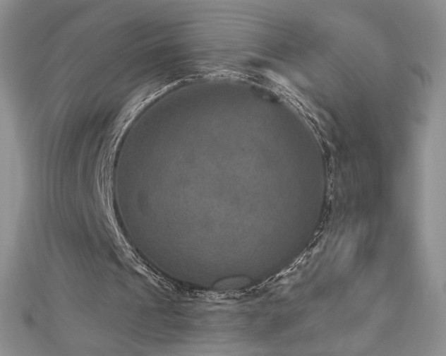 X0000113180241200909041349