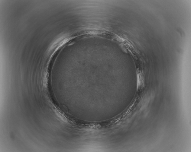 X0000113180243200909041349