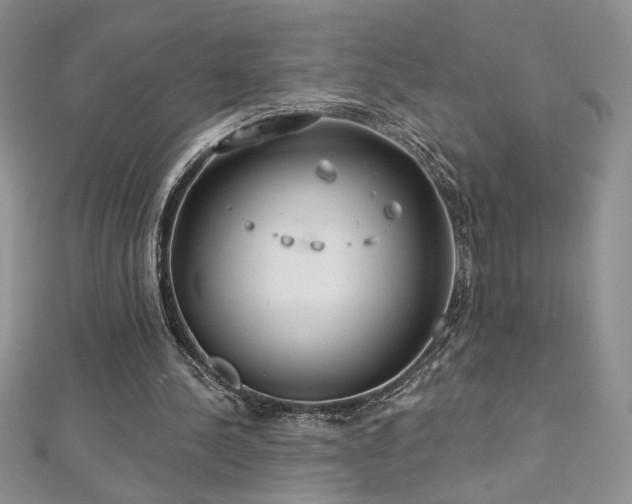 X0000113180244200909041349