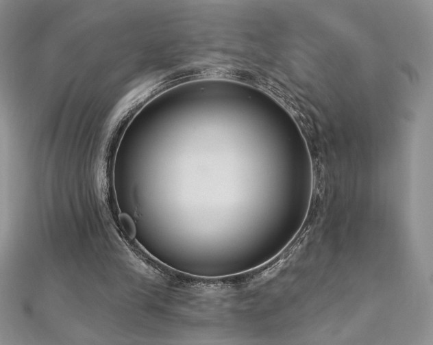 X0000113180245200909041349