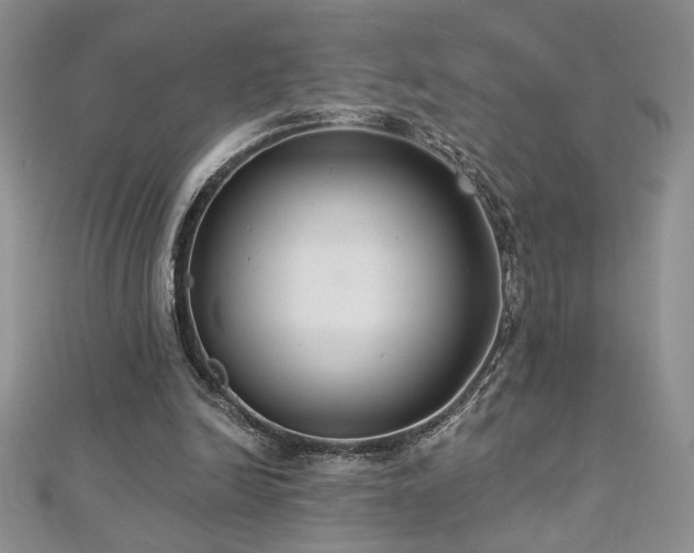 X0000113180246200909041349