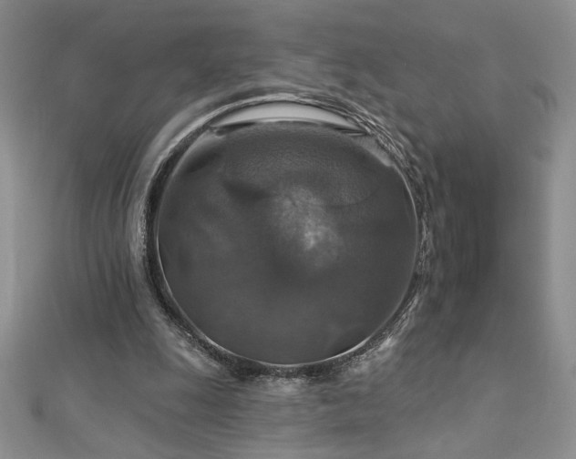 X0000113180247200909041349