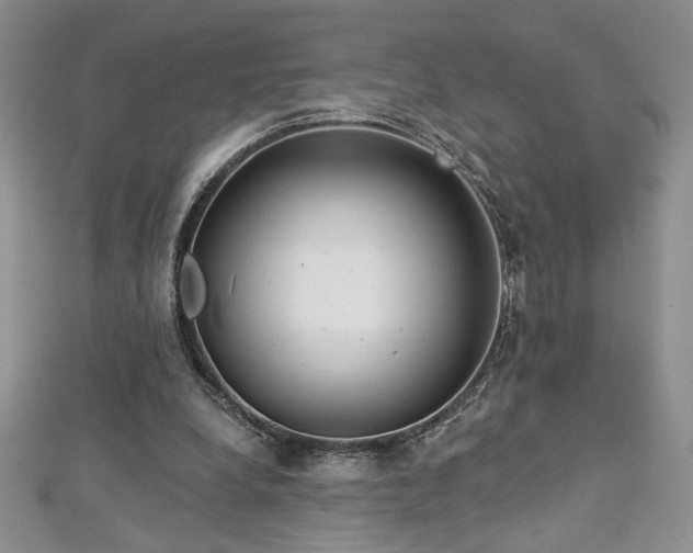 X0000113180248200909041349