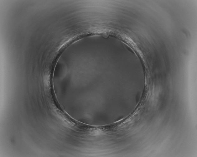 X0000113180249200909041349