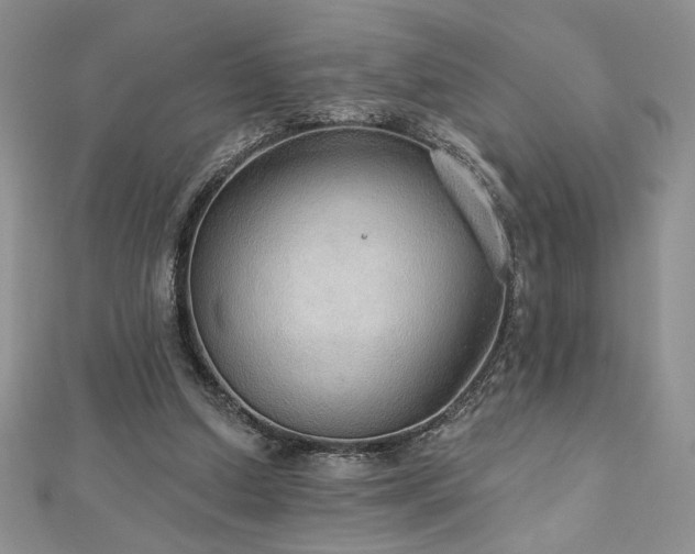 X0000113180250200909041349