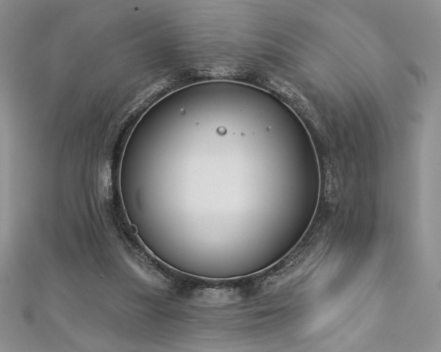 X0000113180251200909041349