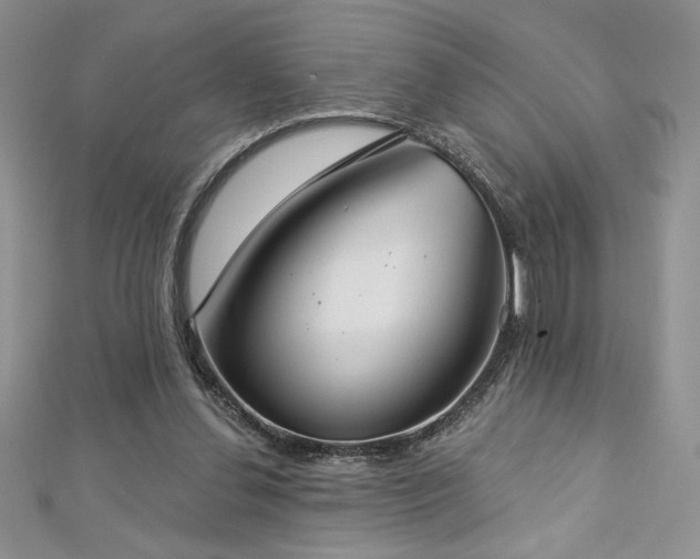 X0000113180252200909041349