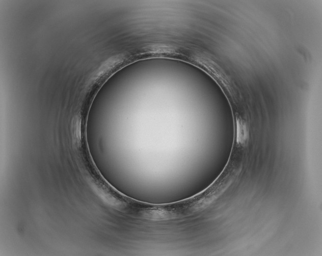 X0000113180253200909041349