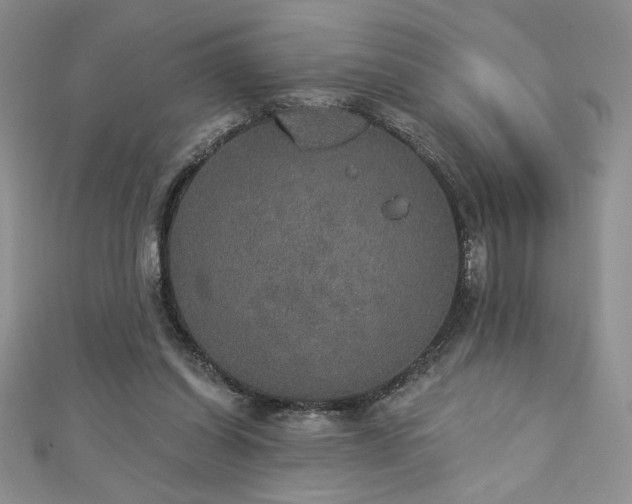 X0000113180254200909041349