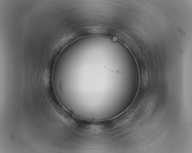 X0000113180255200909041349