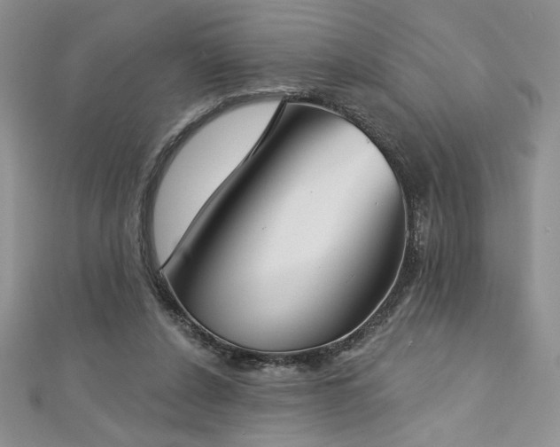 X0000113180256200909041349