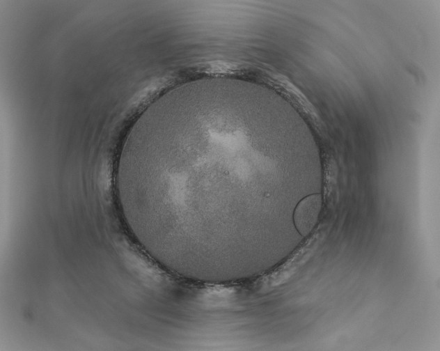 X0000113180257200909041349