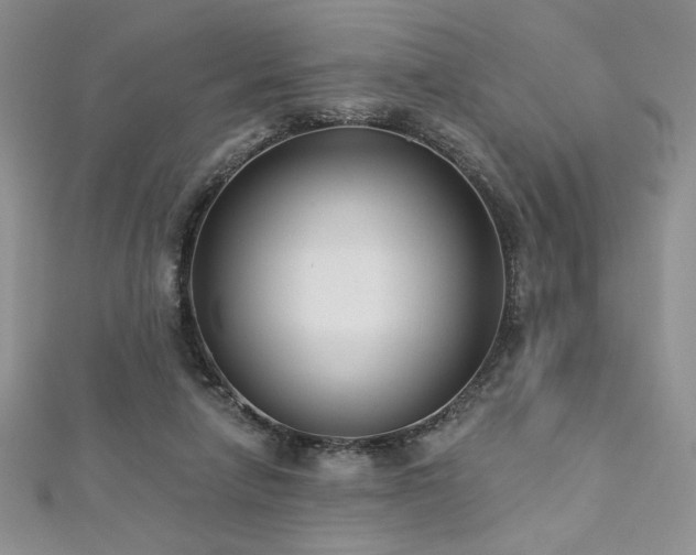 X0000113180258200909041349