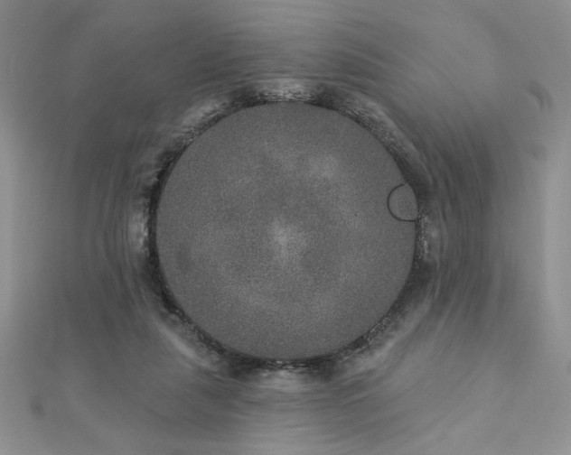 X0000113180259200909041349