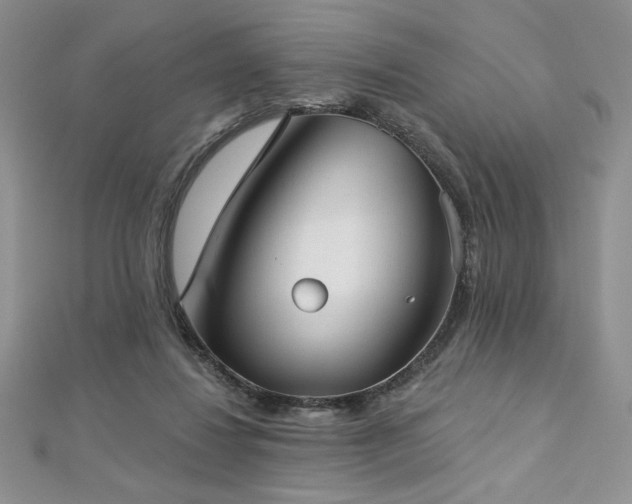 X0000113180260200909041349