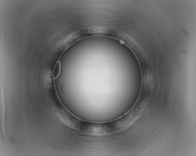 X0000113180264200909041349